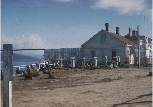 Año Nuevo Island Light Station