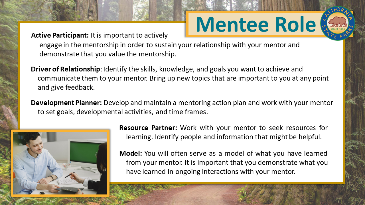 Mentorship Program